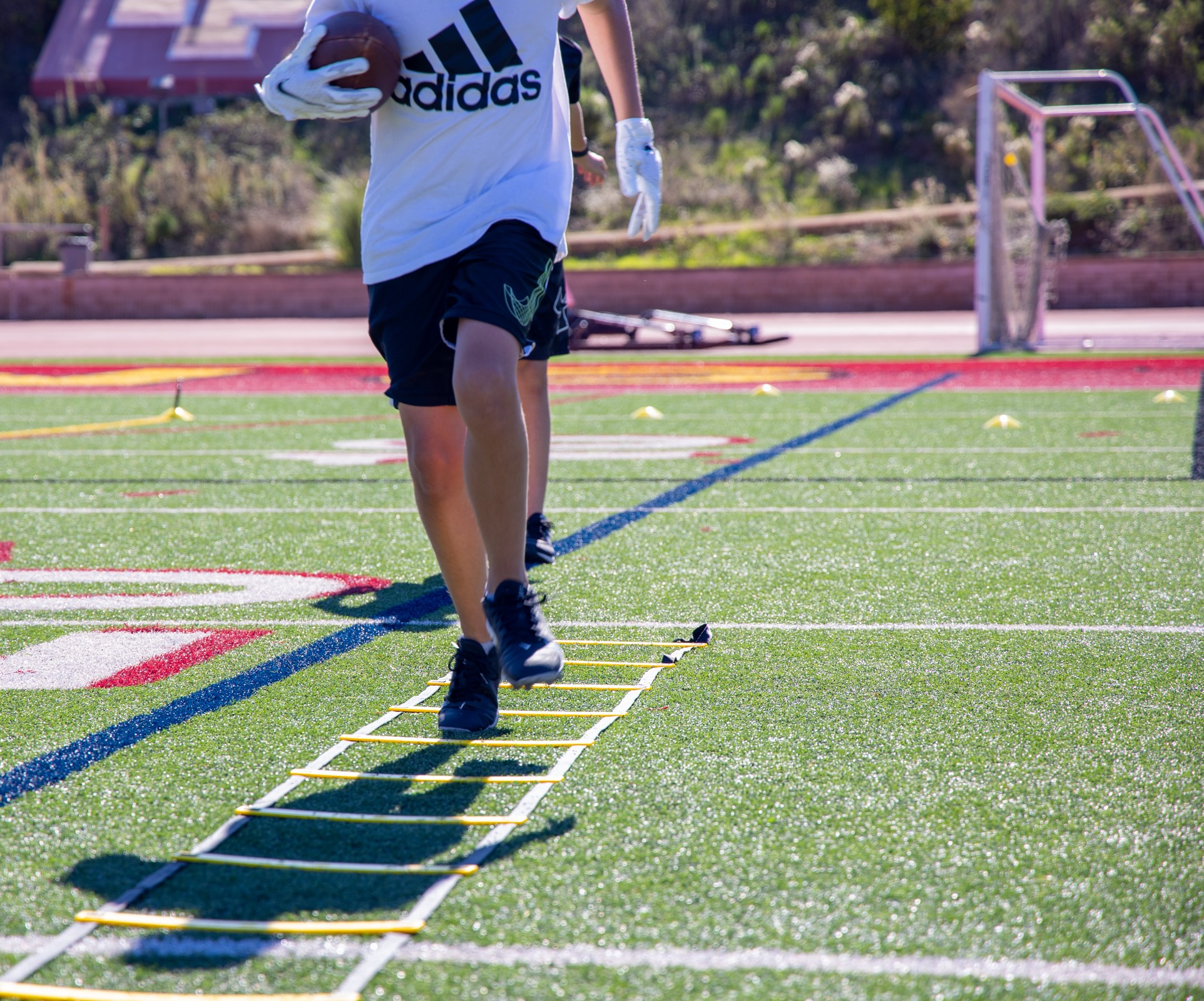 Ladder Pic with Goal in BG